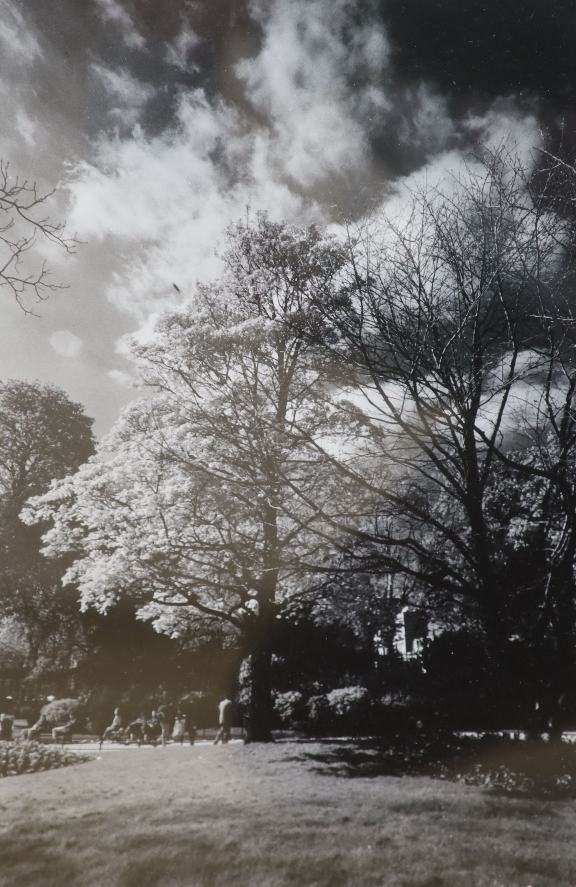 Herve Dufoort, five black and white photographs, City views, Parkland and Mosque, largest 31 x 21cm